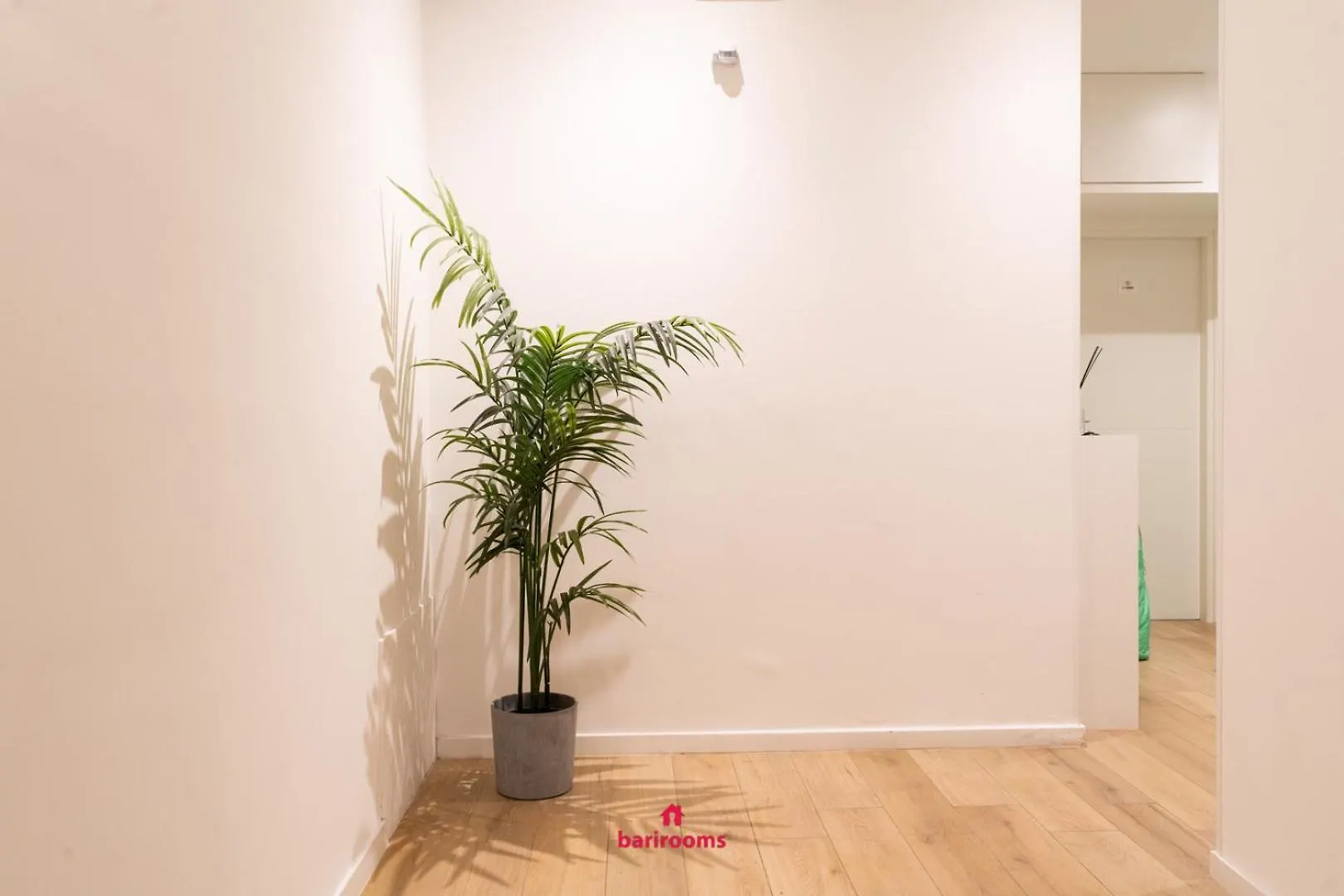 Barirooms - Picca 24 0*, Bari